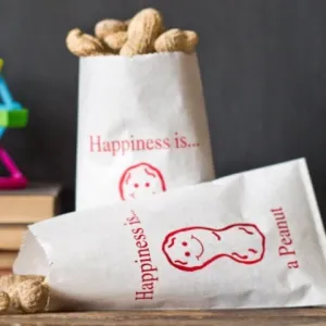 24 happiness is a peanut printed paper bags