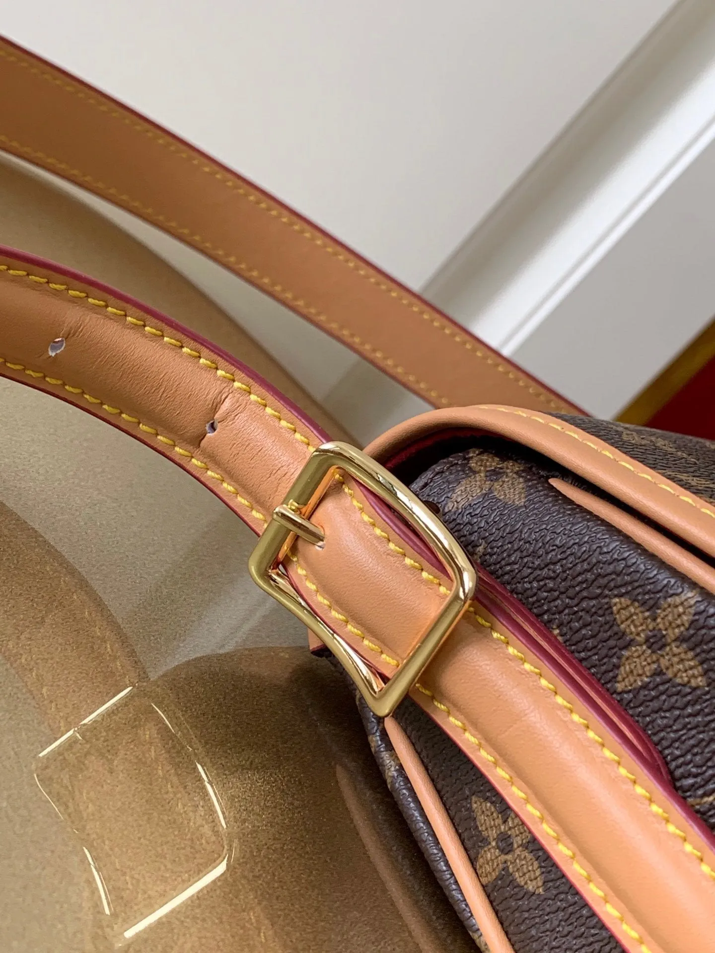 Designer Handbags LN 021