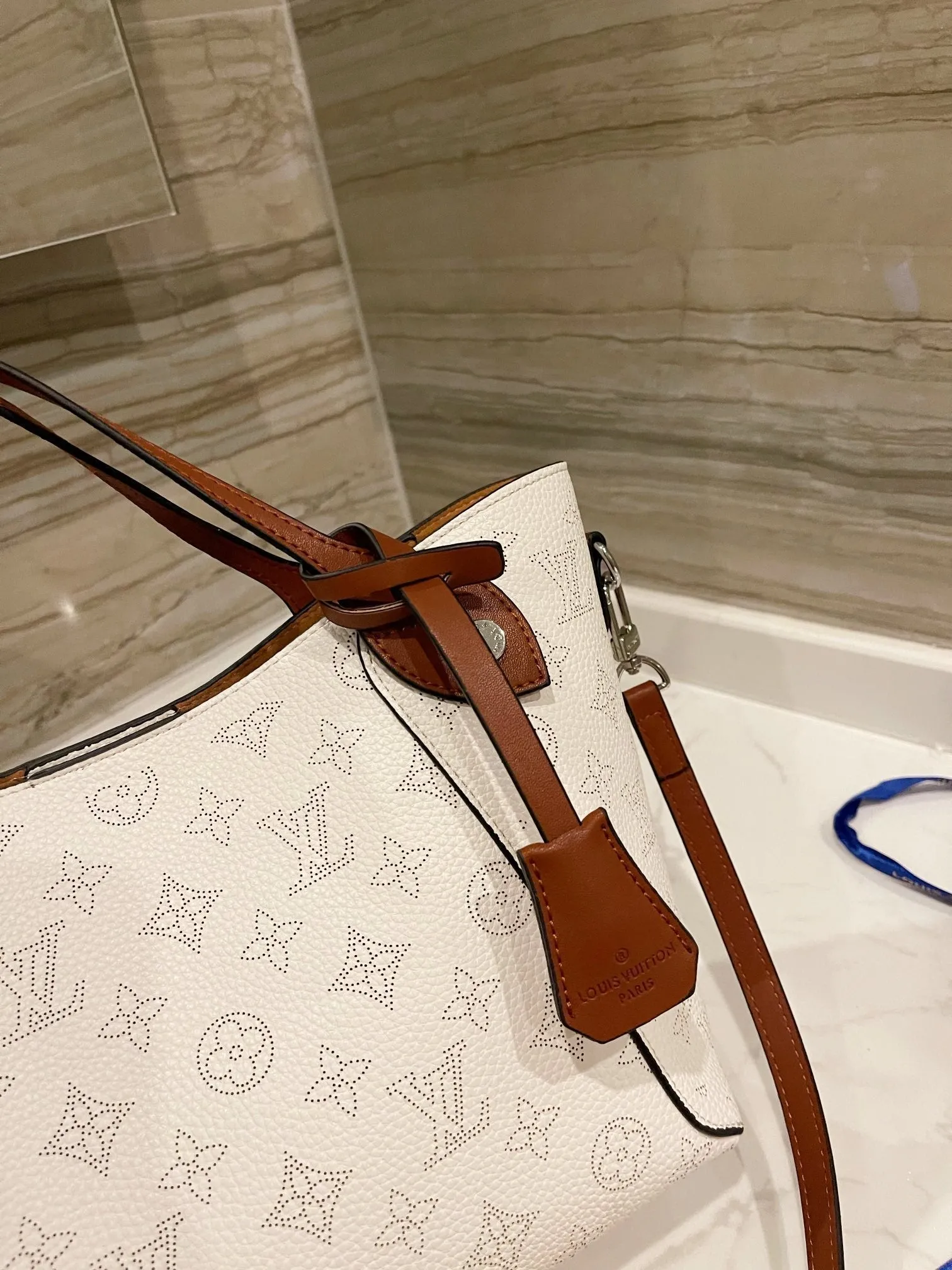 Designer Handbags LN 085