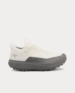 Sylan GTX Arctic Silk / Void Running Shoes