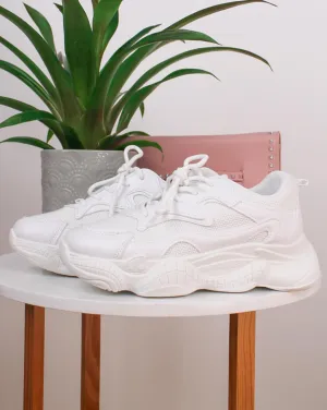 Venice Beach Trainers
