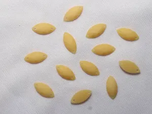 Yellow 2 Hole Eye Dyeable Plastic Stones - 15x7 mm